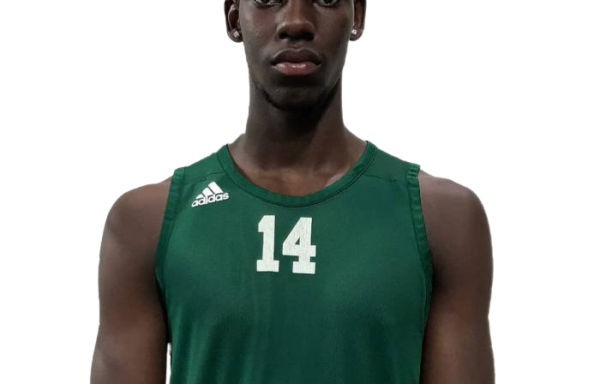 Fallou DIENG